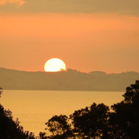 Waiotahi Valley Lodge Thames Bagian luar foto