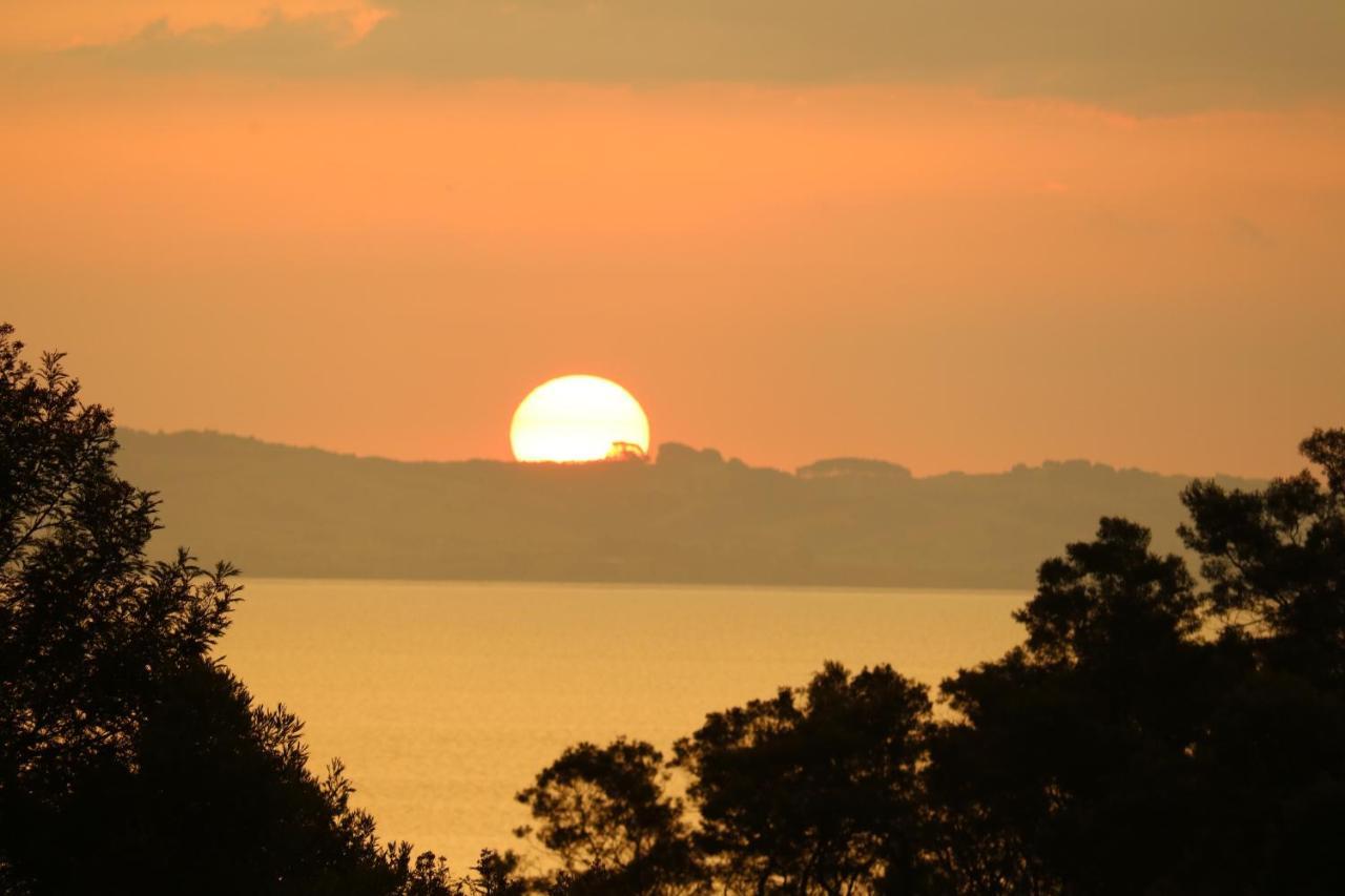 Waiotahi Valley Lodge Thames Bagian luar foto